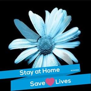 Meet your Posher, Leigh